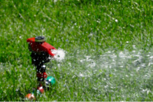 water-sprinkler